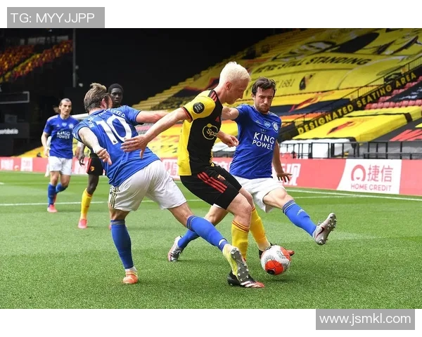 德甲精彩对决霍芬海姆迎战强敌拜仁慕尼黑直播盛况不容错过