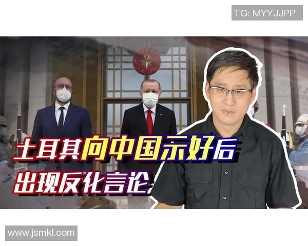 赖斯的外交智慧与全球影响力探析：从美国到国际舞台的角色转变